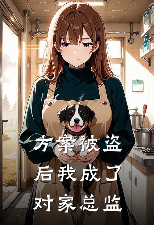 方案被盗后我成了对家总监